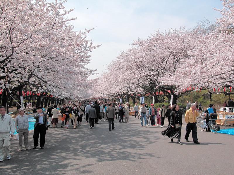 Mervielle Ueno Tokyo Exterior photo